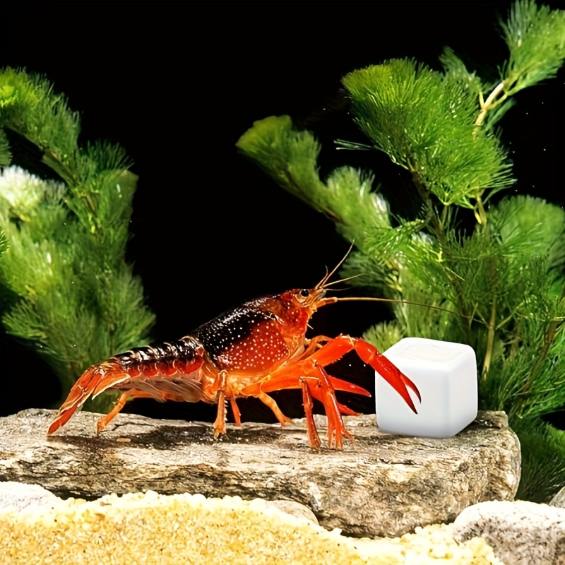 Calcium Powder Reptile - 爬虫類用研磨石6個セット、カメ用カルシウム、カタツムリ用カルシウムブロック、水槽用ミネラル、アクアリウム用品、クロールキューブ