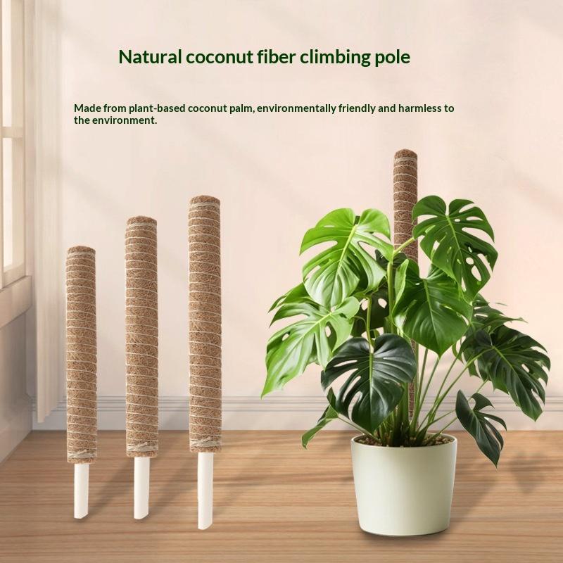 Vine Climbing Plastic - 1 個植物成長牽引ロッド植物登攀固定ブラケットサポート用つる植物用大型手作り植物ポールスティック〔白〕