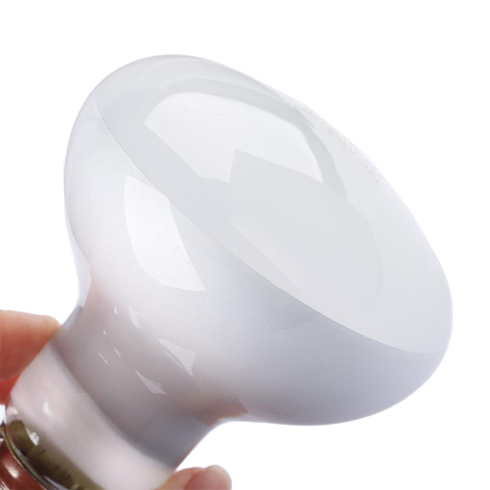 Basking Bulb Halogen - カメ用ヒーター温度調節器 バスキングライト ハロゲン電球 爬虫類用UVAライト