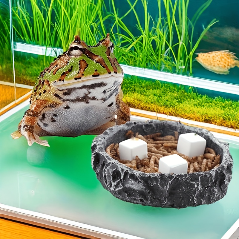 Calcium Powder Reptile - 6個入り水槽用カルシウムブロックミネラル、爬虫類用研磨キューブ、カメ用研磨石、カタツムリ用タンクカルシウム