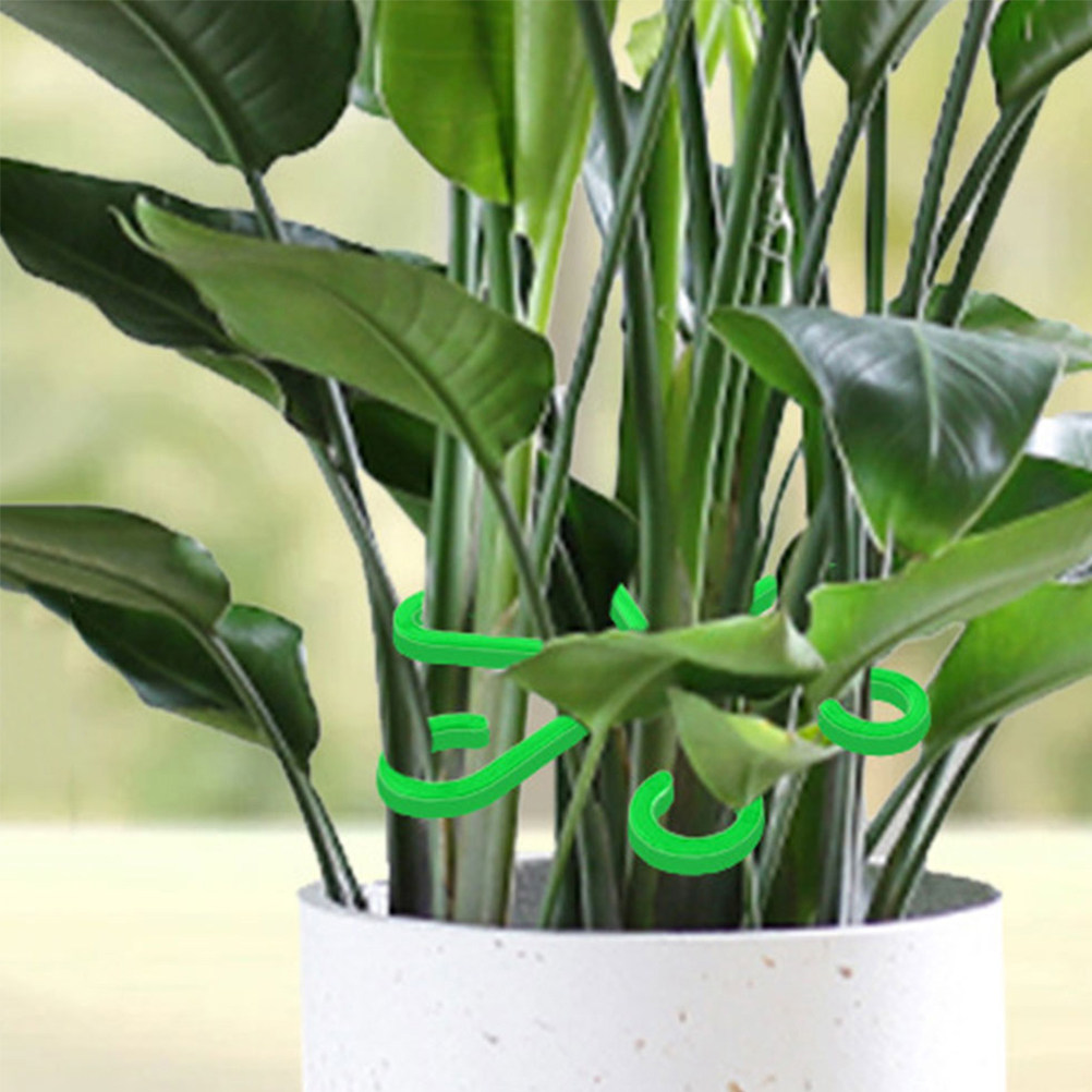 Vine Climbing Plastic - 12個入り 植物茎ホルダー プラスチック製サポートクリップ つる性植物用 ガーデンバインクリップ 屋外盆栽茎オーガナイザー