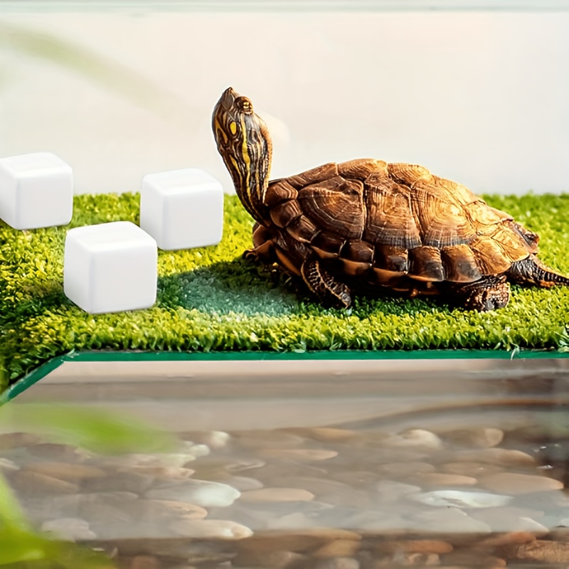 爬虫類用研磨石6個セット、カメ用カルシウム、カタツムリ用カル - Calcium Powder Reptile のレビューと価格