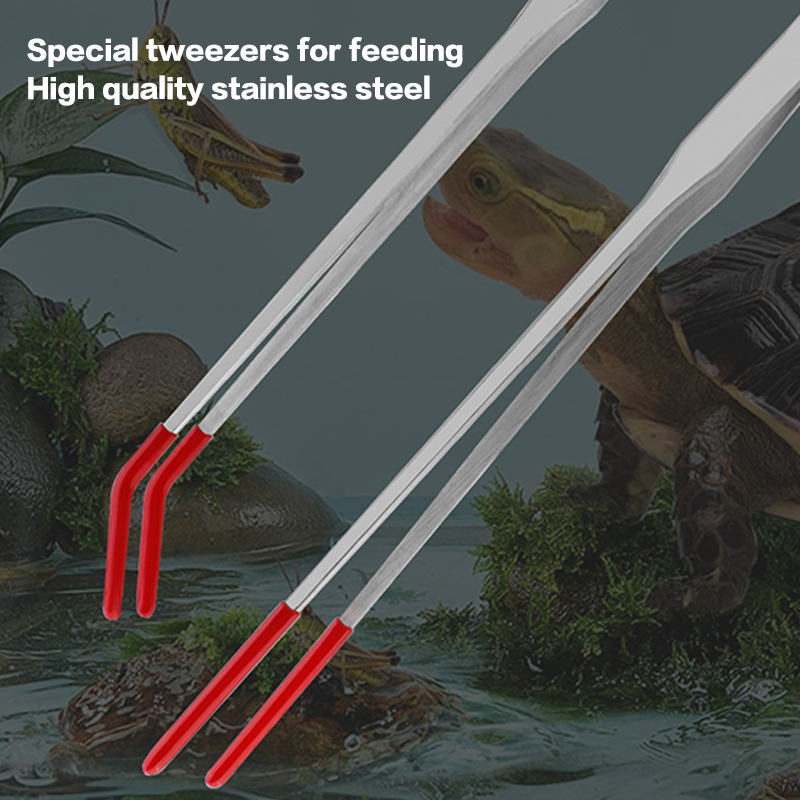 専門家向け水槽ツール：ステンレス製ピンセット、ゴムグリップ付 - Feeding Tong Stainless のレビューと価格