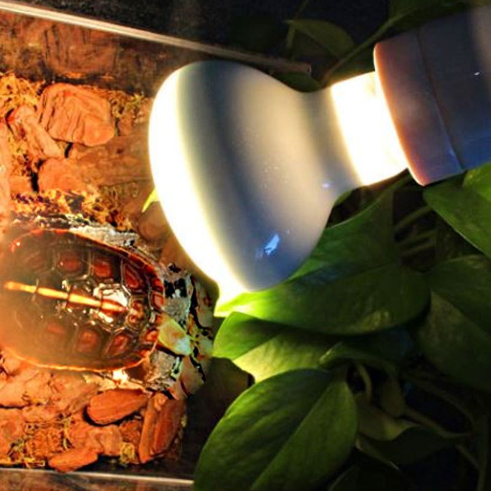 リザードヒーター温度調節器 バスキングライト ハロゲン電球  - Basking Bulb Halogen のレビューと価格