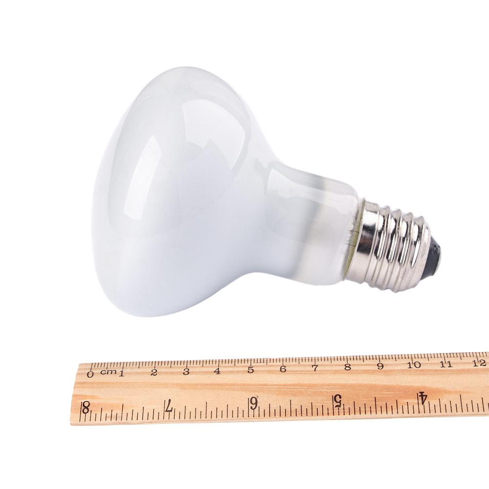 リザードヒーター温度調節器 バスキングライト ハロゲン電球  - Basking Bulb Halogen のレビューと価格