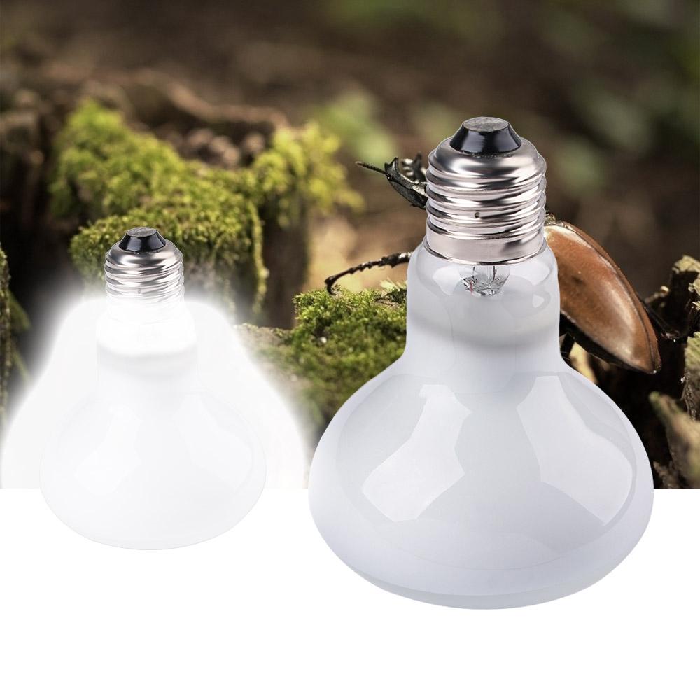 トカゲ用温度調節器 ヒートランプ ハロゲン電球 日光浴ライト - Basking Bulb Halogen のレビューと価格