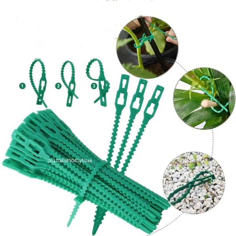 50-1000個 調整可能なプラスチック製植物ケーブルタイ  - Vine Climbing Plastic のレビューと価格