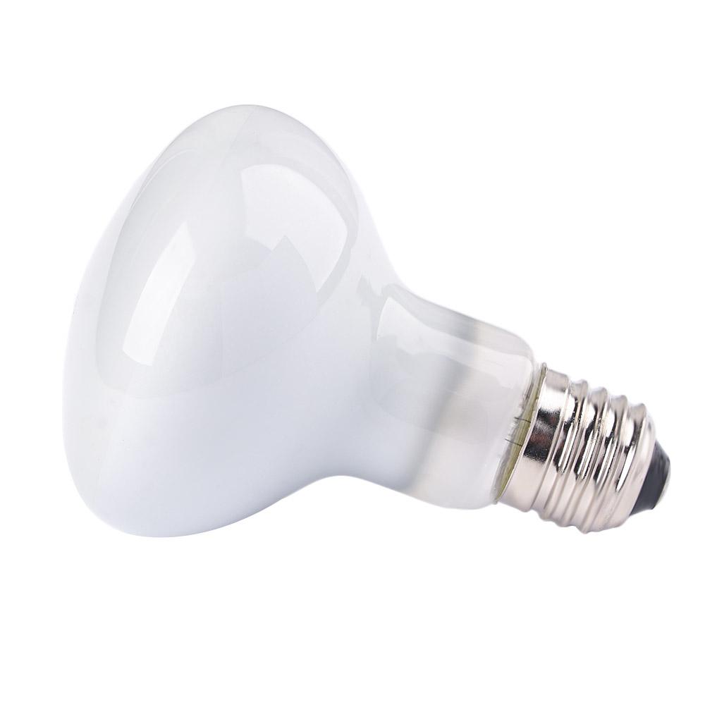 両生類用ヒーターランプ UVAライト 日光浴ライト 爬虫類用 - Basking Bulb Halogen のレビューと価格