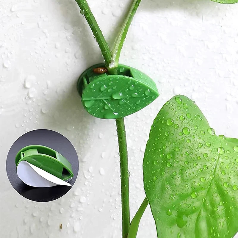 10-90 個植物固定クリップ自己粘着葉形の目に見えないフッ - Vine Climbing Plastic のレビューと価格