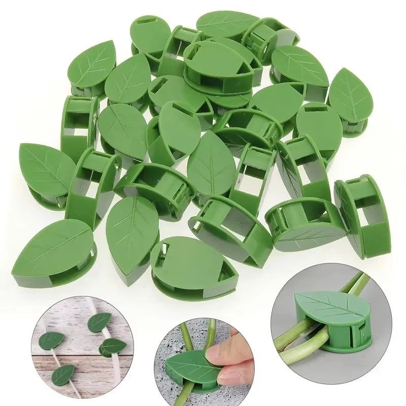 10-90 個植物固定クリップ自己粘着葉形の目に見えないフッ - Vine Climbing Plastic のレビューと価格