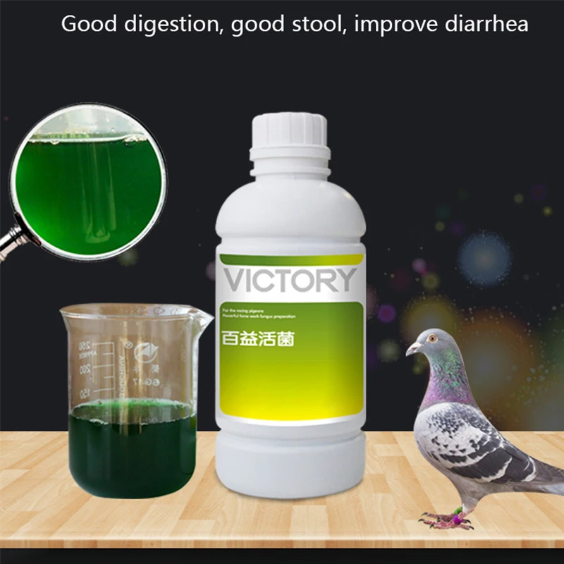 500ml 肉類鳩レース鳩帰巣鳩下痢下痢緑色の糞便胃腸プロバ - Vitamin D3 Reptile のレビューと価格