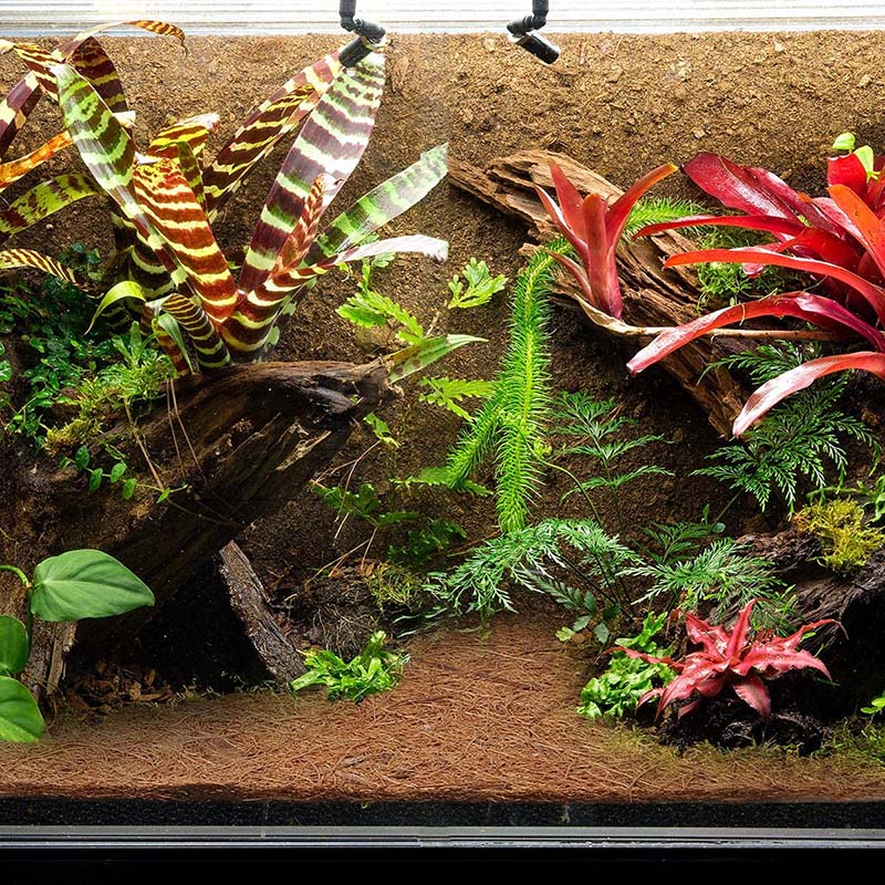 AB33-天然ココナッツ繊維マット、爬虫類用カーペット、トカ - Substrate Coconut Fiber のレビューと価格