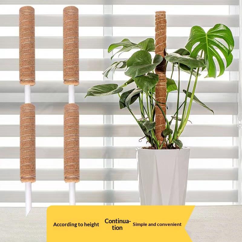 1 個植物成長牽引ロッド植物登攀固定ブラケットサポート用つる - Vine Climbing Plastic のレビューと価格