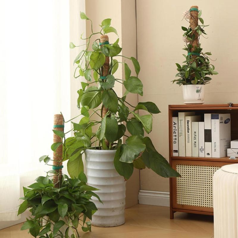 1 個植物成長牽引ロッド植物登攀固定ブラケットサポート用つる - Vine Climbing Plastic のレビューと価格