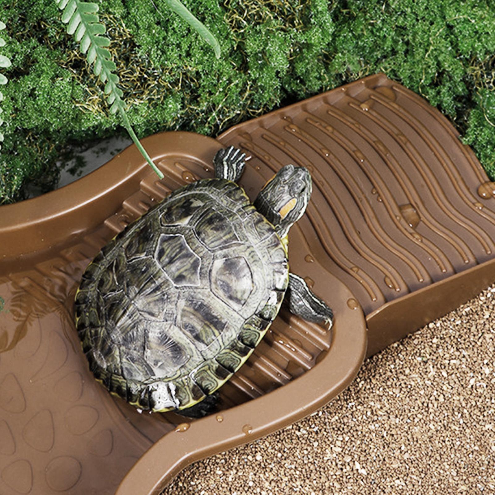爬虫類用入浴プール、スロープ付き、カメ用浸漬浴槽、滑り止め水 - Water Dish Reptile のレビューと価格