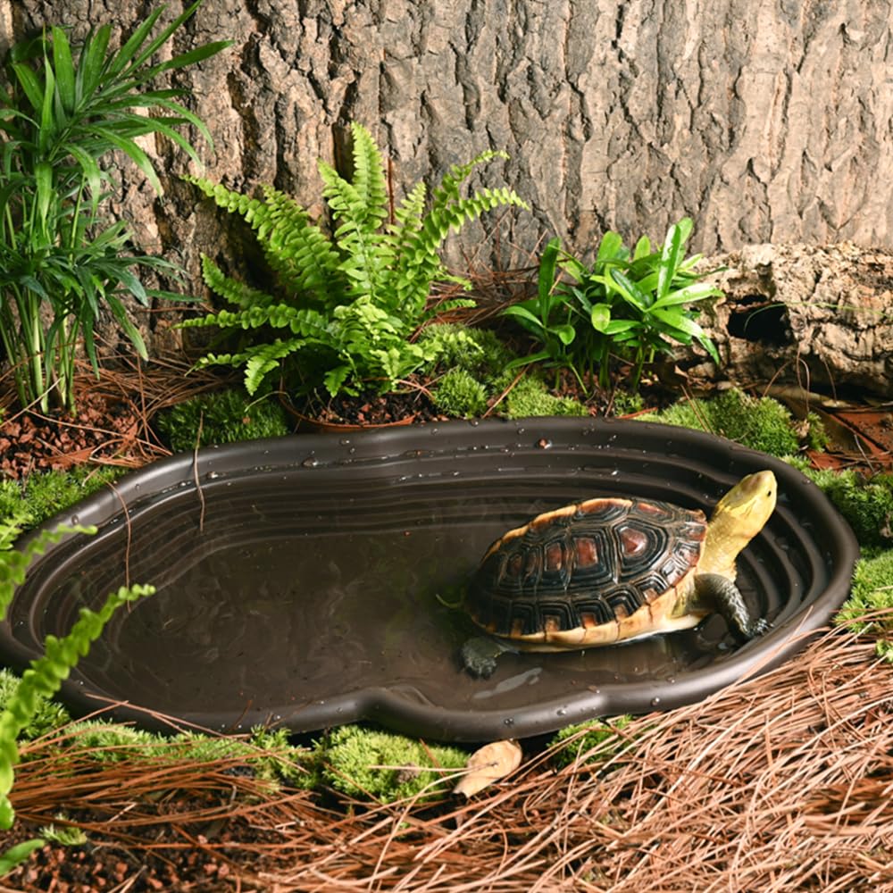 爬虫類用バスディッシュ 両生類の生息地 爬虫類用カメ用フィー - Water Dish Reptile のレビューと価格