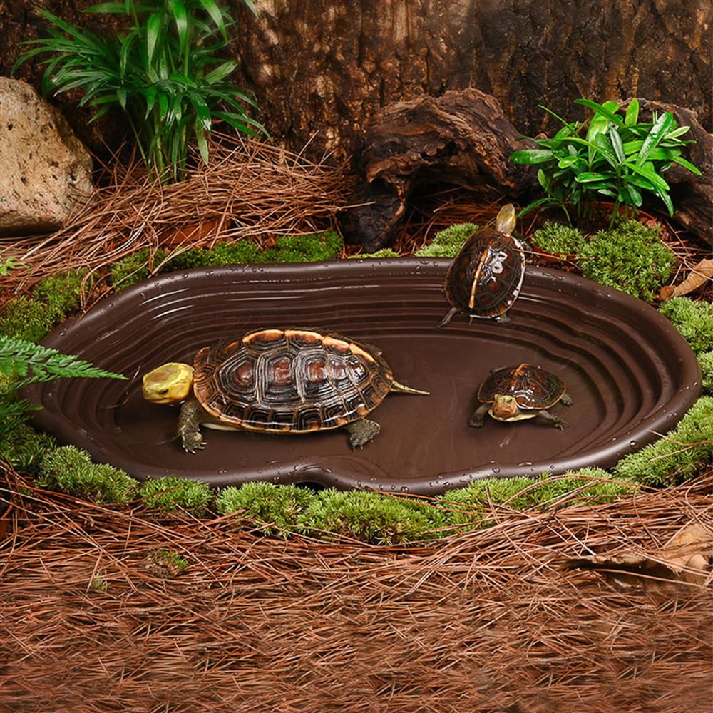 爬虫類用バスディッシュ 両生類の生息地 爬虫類用カメ用フィー - Water Dish Reptile のレビューと価格