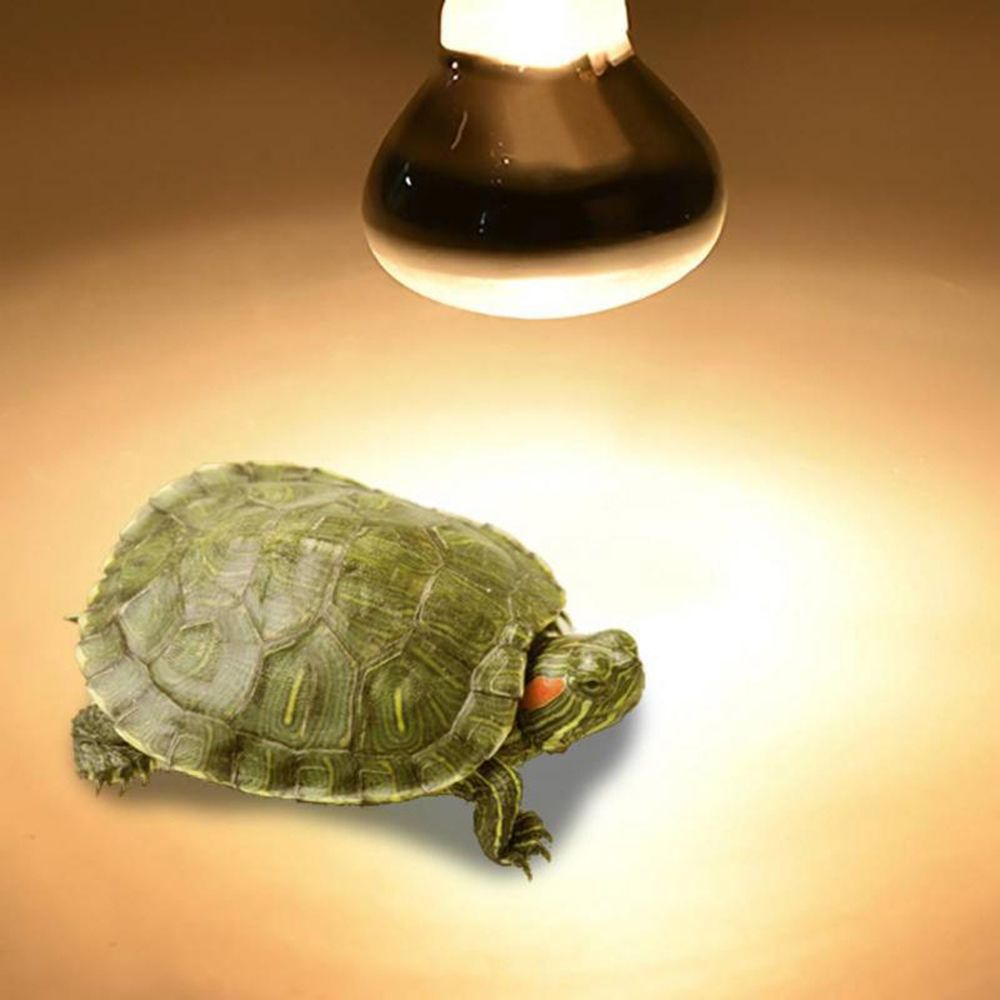 カメ用温度調節器 ヒートランプ 日光浴ライト ハロゲン電球  - Basking Bulb Halogen のレビューと価格