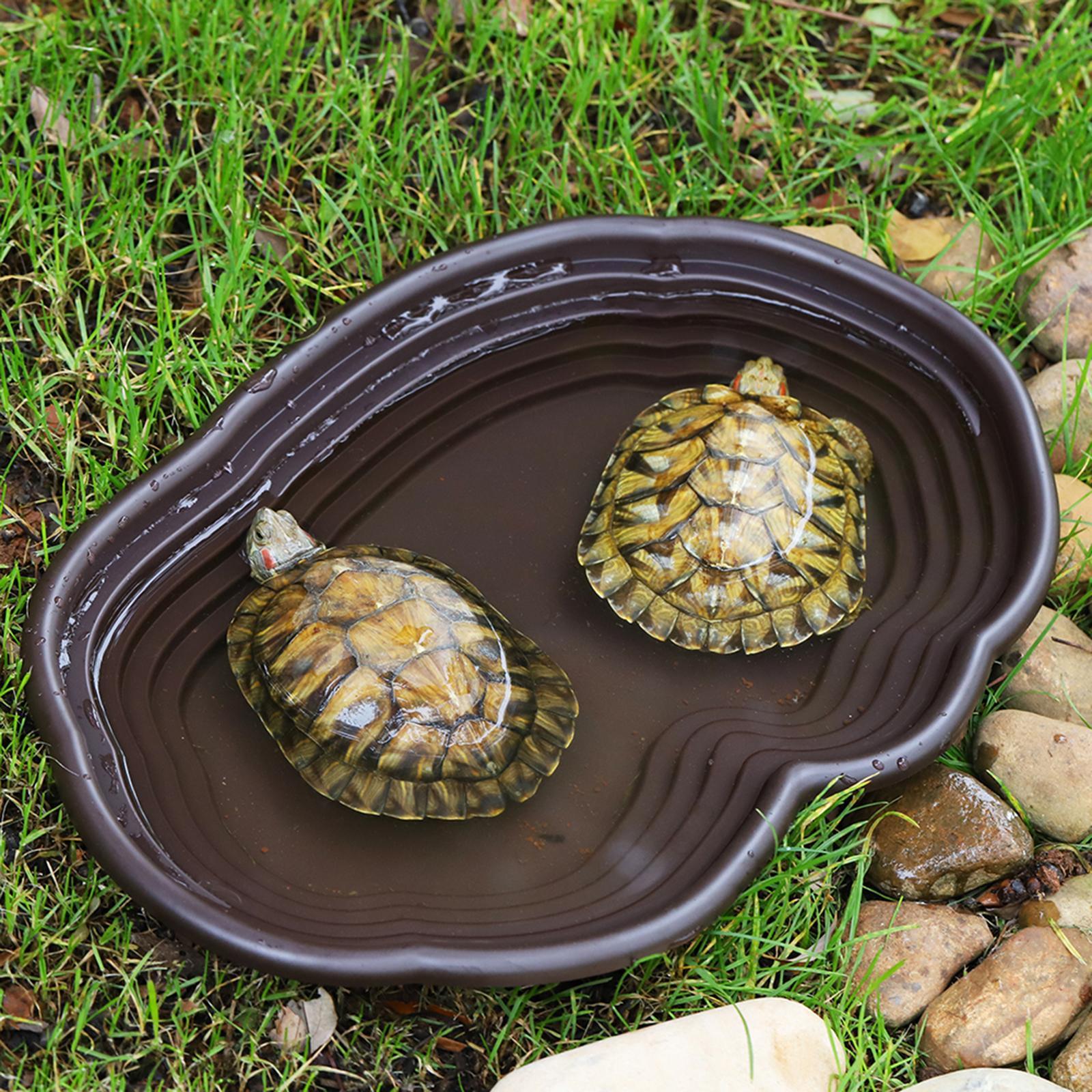 爬虫類の入浴皿,カメの餌箱,ウォーターボウル,あごひげを生や - Water Dish Reptile のレビューと価格