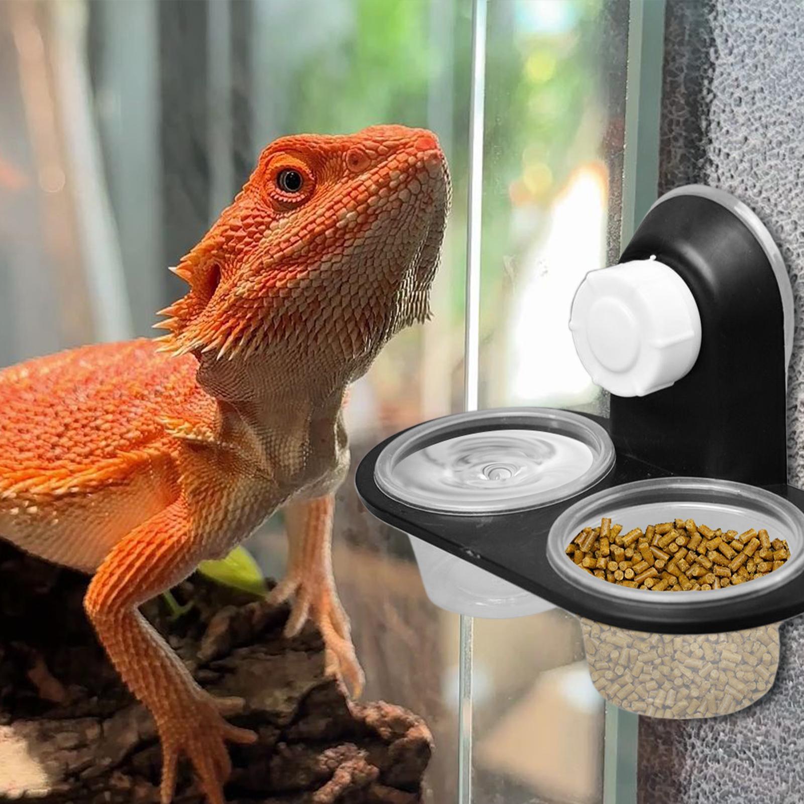 ヤモリ用フードディッシュ、ヤモリ用ウォーターディッシュディス - Water Dish Reptile のレビューと価格
