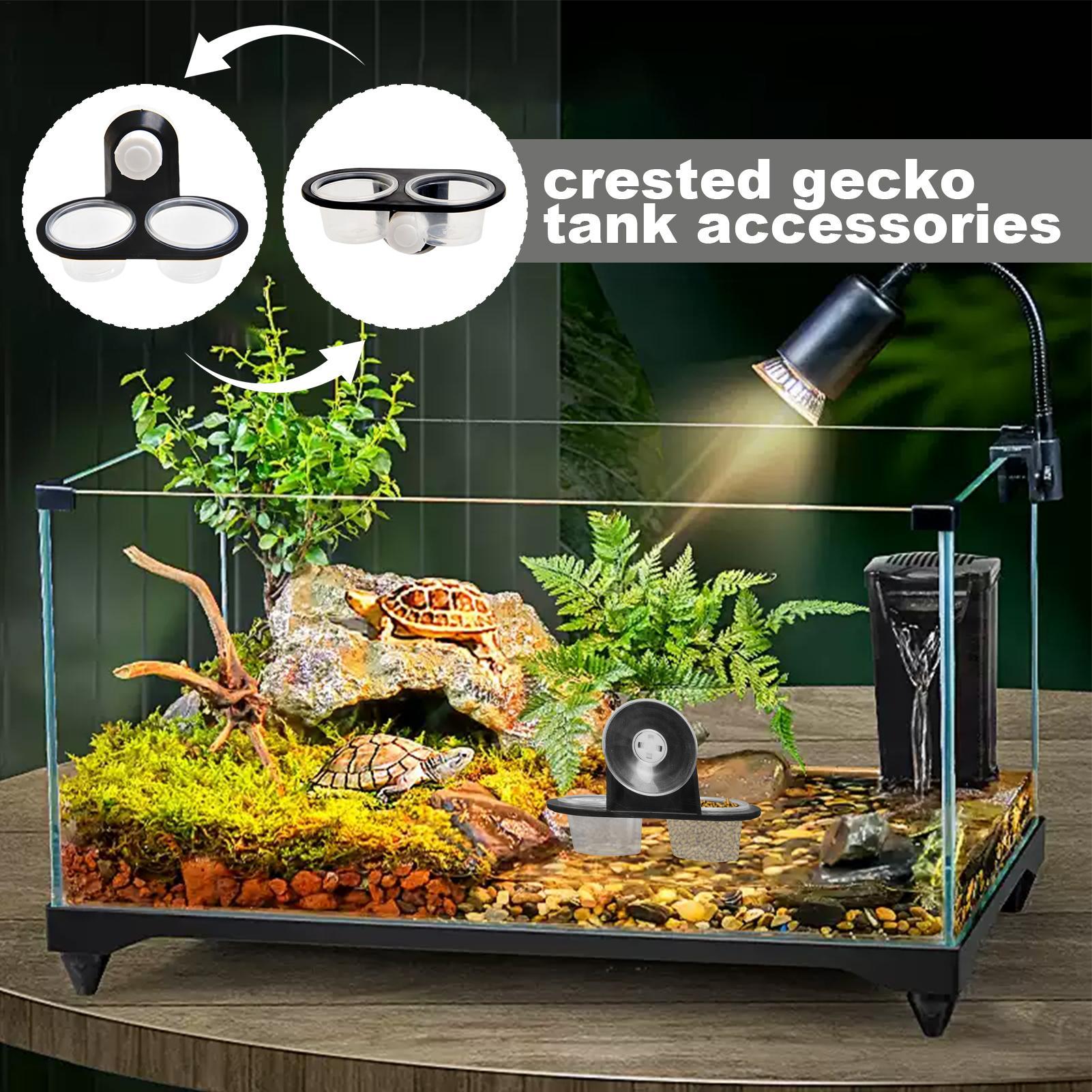 ヤモリ用フードディッシュ、ヤモリ用ウォーターディッシュディス - Water Dish Reptile のレビューと価格