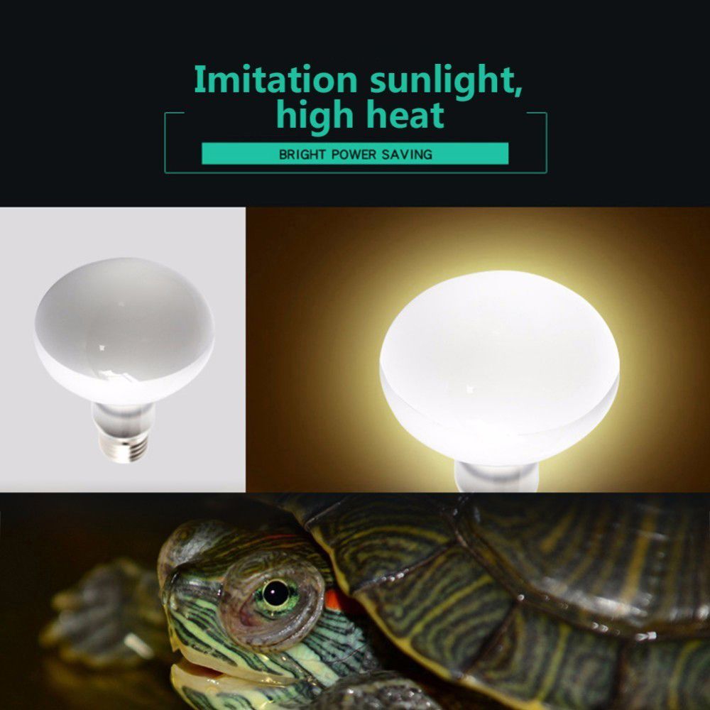 カメ用ヒーター温度調節器 爬虫類用UVAライト ハロゲン電球 - Basking Bulb Halogen のレビューと価格