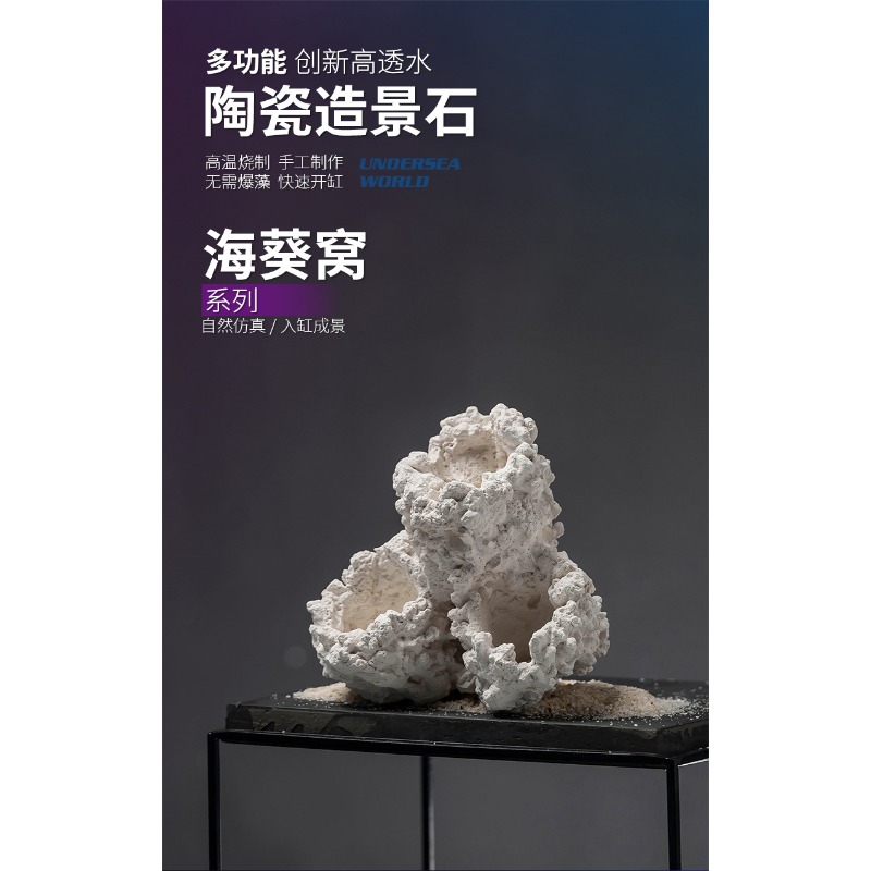 釉薬をかけたセラミック製イソギンチャクオーナメント、クマノミ - Hide Cave Ceramic のレビューと価格