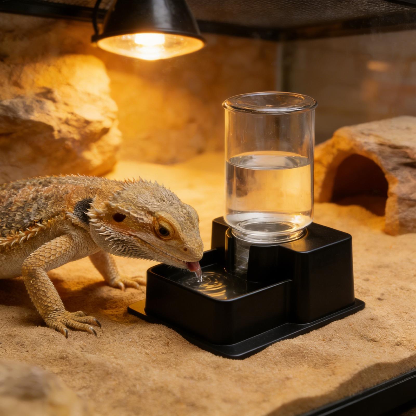 ヒゲトカゲ用ウォーターファウンテン、爬虫類自動給水器、カメ用 - Water Dish Reptile のレビューと価格