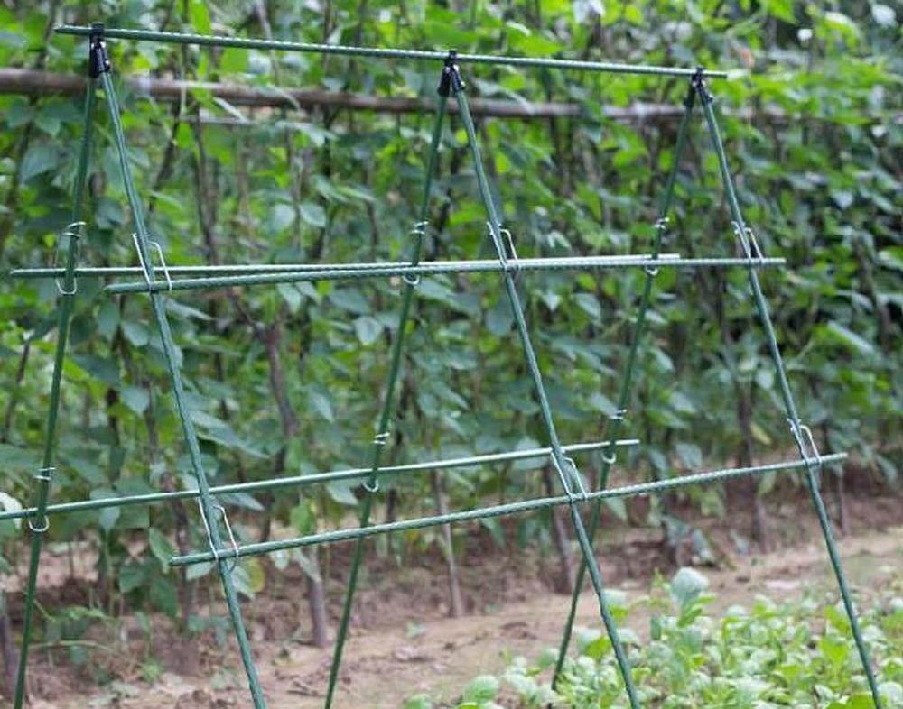 直径8/11/16mmの植物サポート,トレリスの花,温室,庭 - Vine Climbing Plastic のレビューと価格