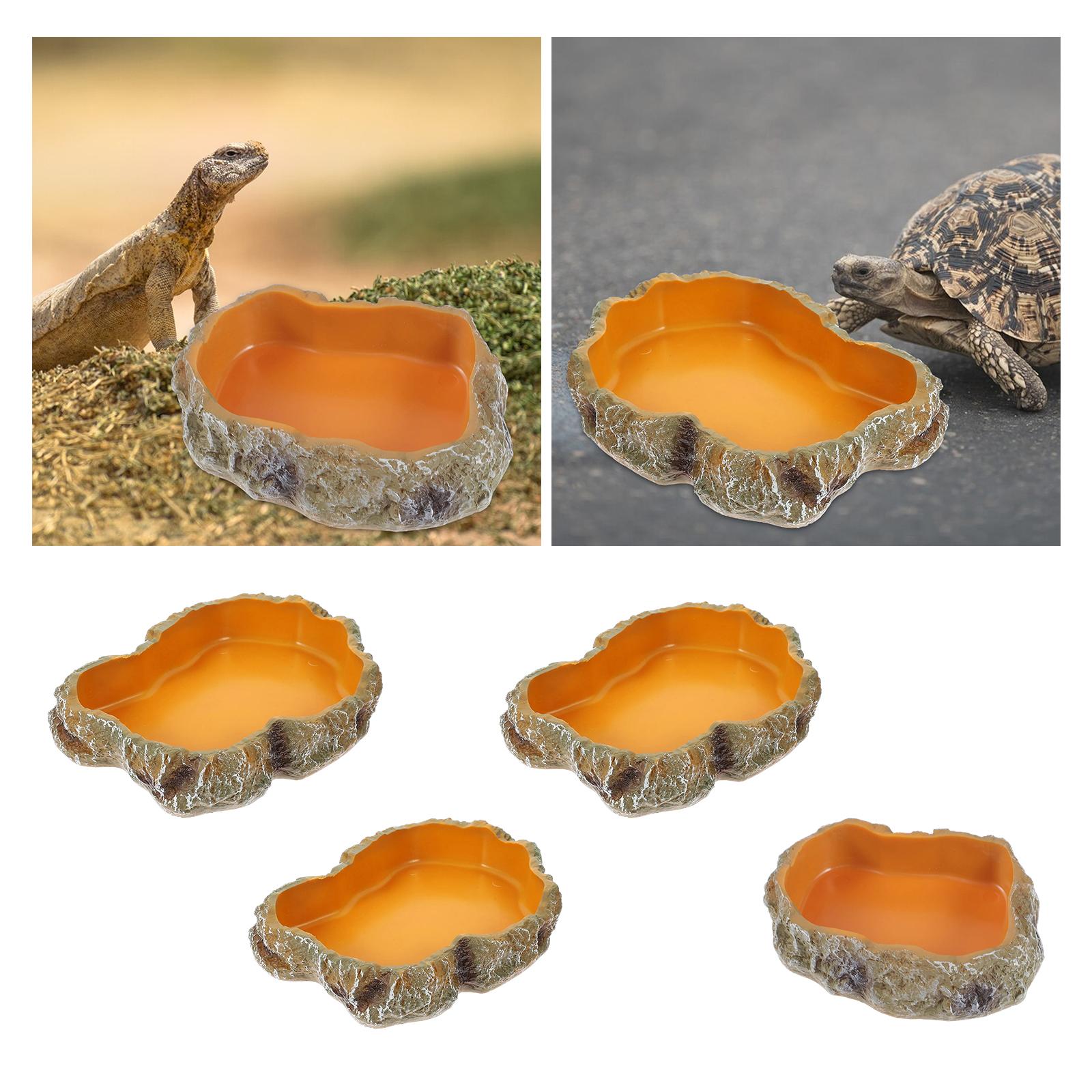 爬虫類ウォーターボウル装飾テラリウム生息地装飾樹脂給餌ボウル - Water Dish Reptile のレビューと価格