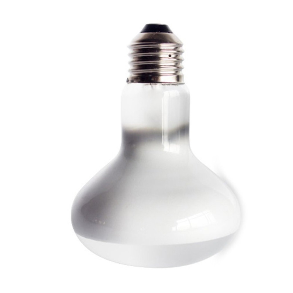 カメ用温度調節器ヒーター UVAライト 爬虫類用ハロゲン電球 - Basking Bulb Halogen のレビューと価格