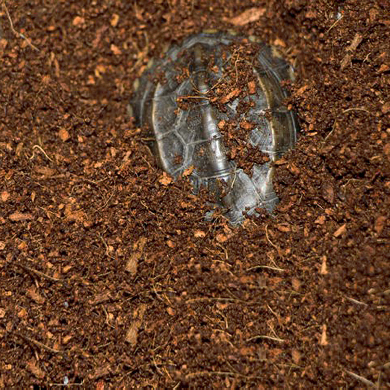 WAJABABY すぐに使えるココヤシ繊維ブロック - 爬虫 - Substrate Coconut Fiber のレビューと価格