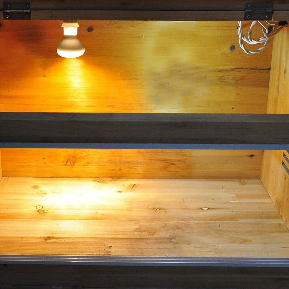 リザードヒーター温度調節器日光浴ライト爬虫類ハロゲン電球UV - Basking Bulb Halogen のレビューと価格