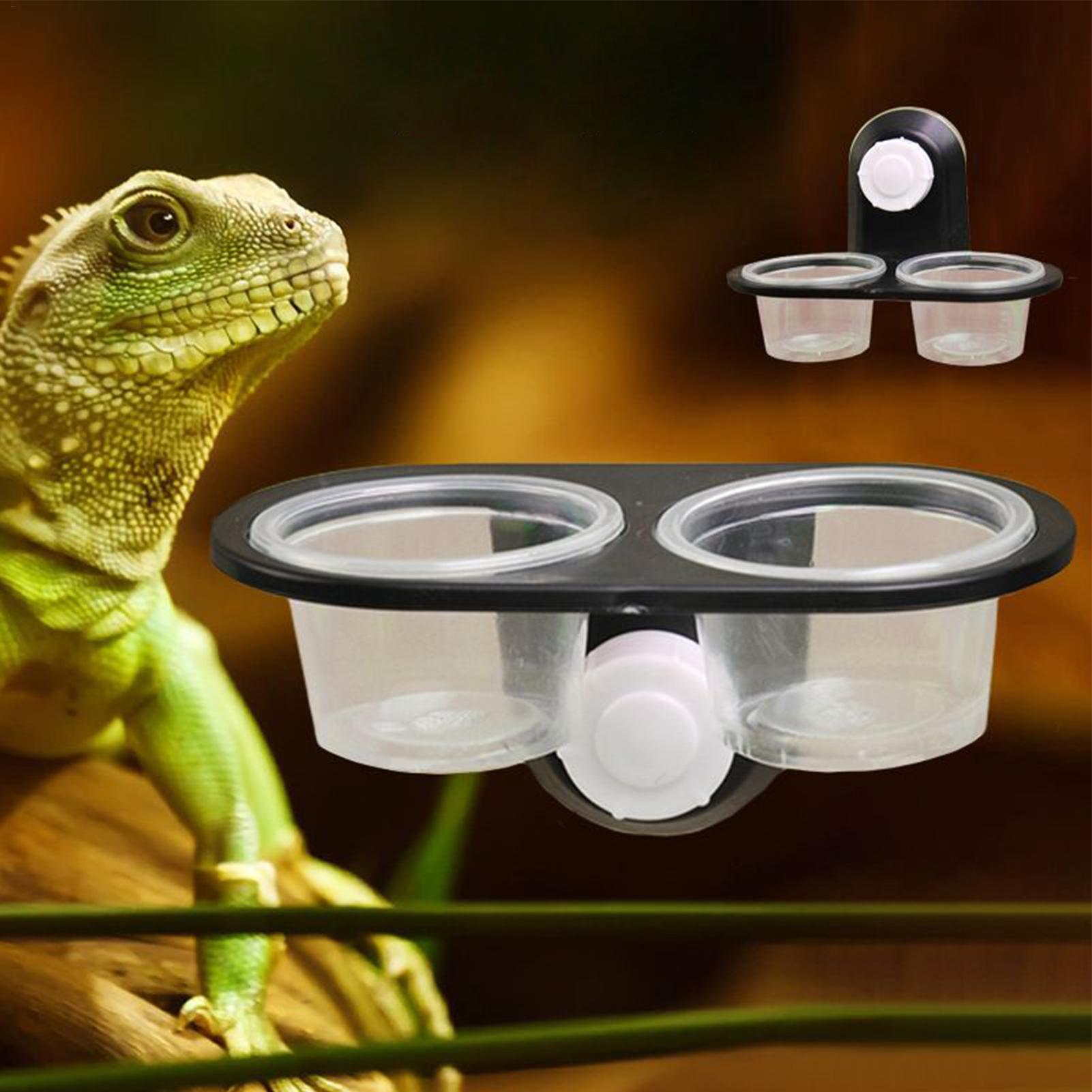 ヤモリ用フードディッシュ ウォーターディッシュ 爬虫類タンク - Water Dish Reptile のレビューと価格
