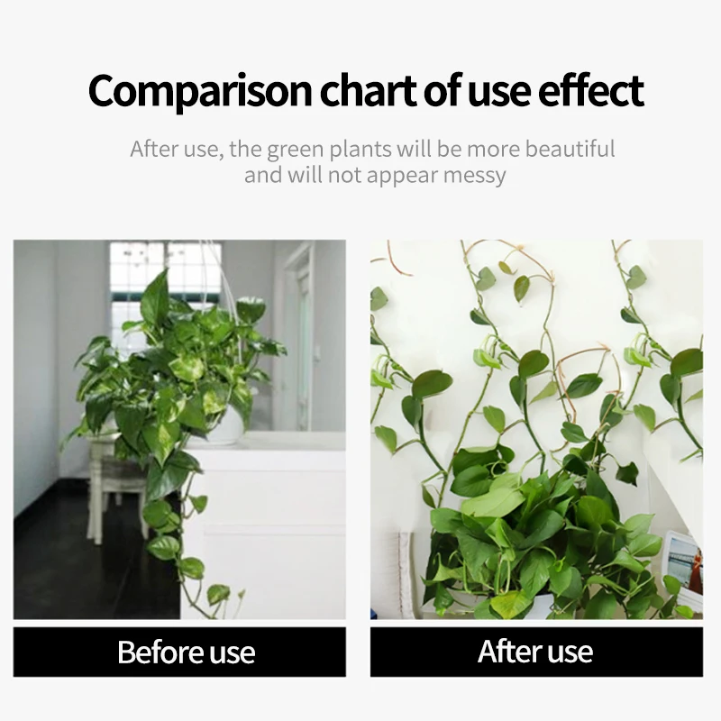 植物の壁登り用自己粘着式固定バックルフック、締め付け式固定具 - Vine Climbing Plastic のレビューと価格